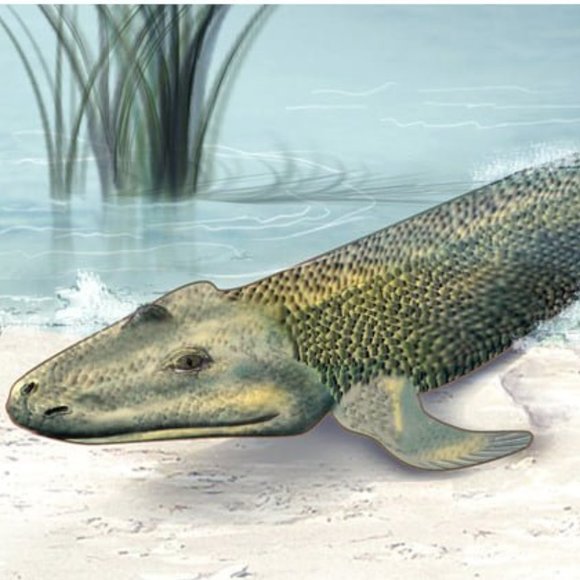 Meet your Posher, Katie - Picture 1 of 1